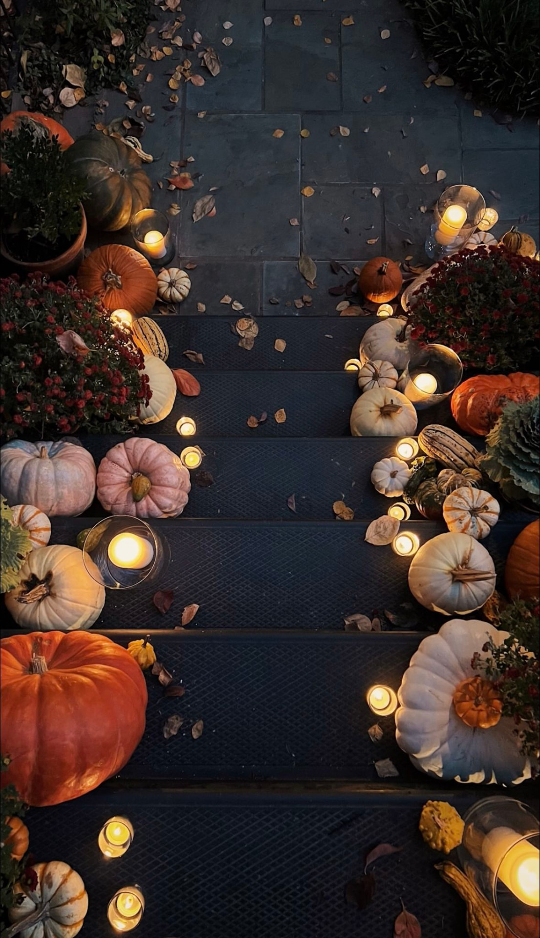 Candlelit front steps lined with pumpkins, gourds and mums